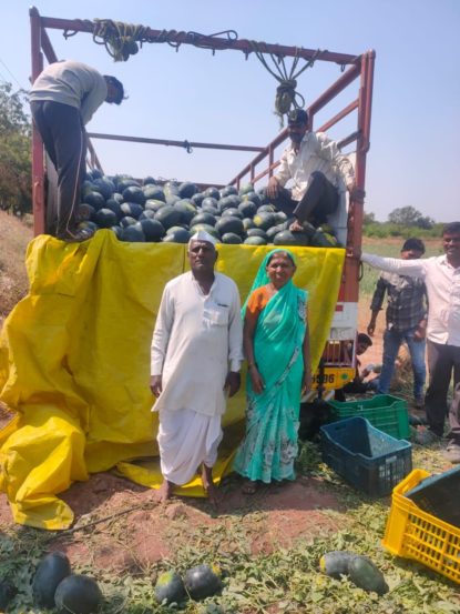 रेवणसिद्ध गुरुसिद्ध कोरे यांनी अवघ्या ४० दिवसांत कलिंगडाचं तीन लाख ६० हजारांचं उत्पन्न घेतलं आहे. 