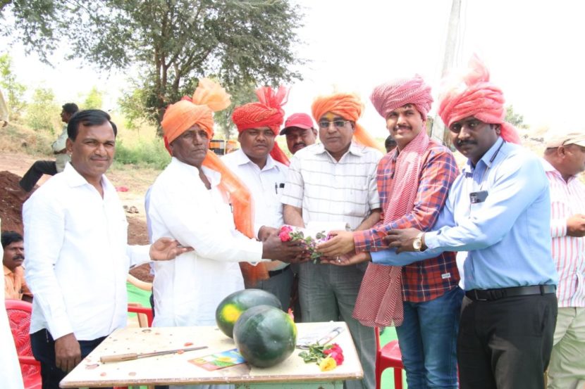 कोरे यांनी कमी कालावधीत जास्त उत्पन्न घेतल्यामुळे त्यांचा सत्कारही कऱण्यात आला. 